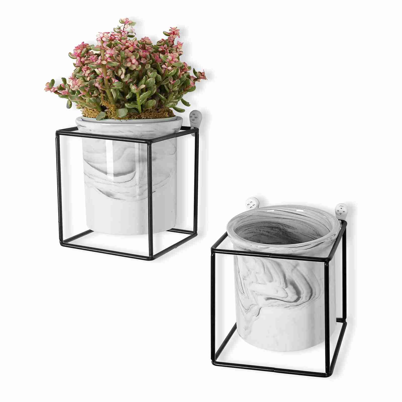wall-planter with cash back rebate