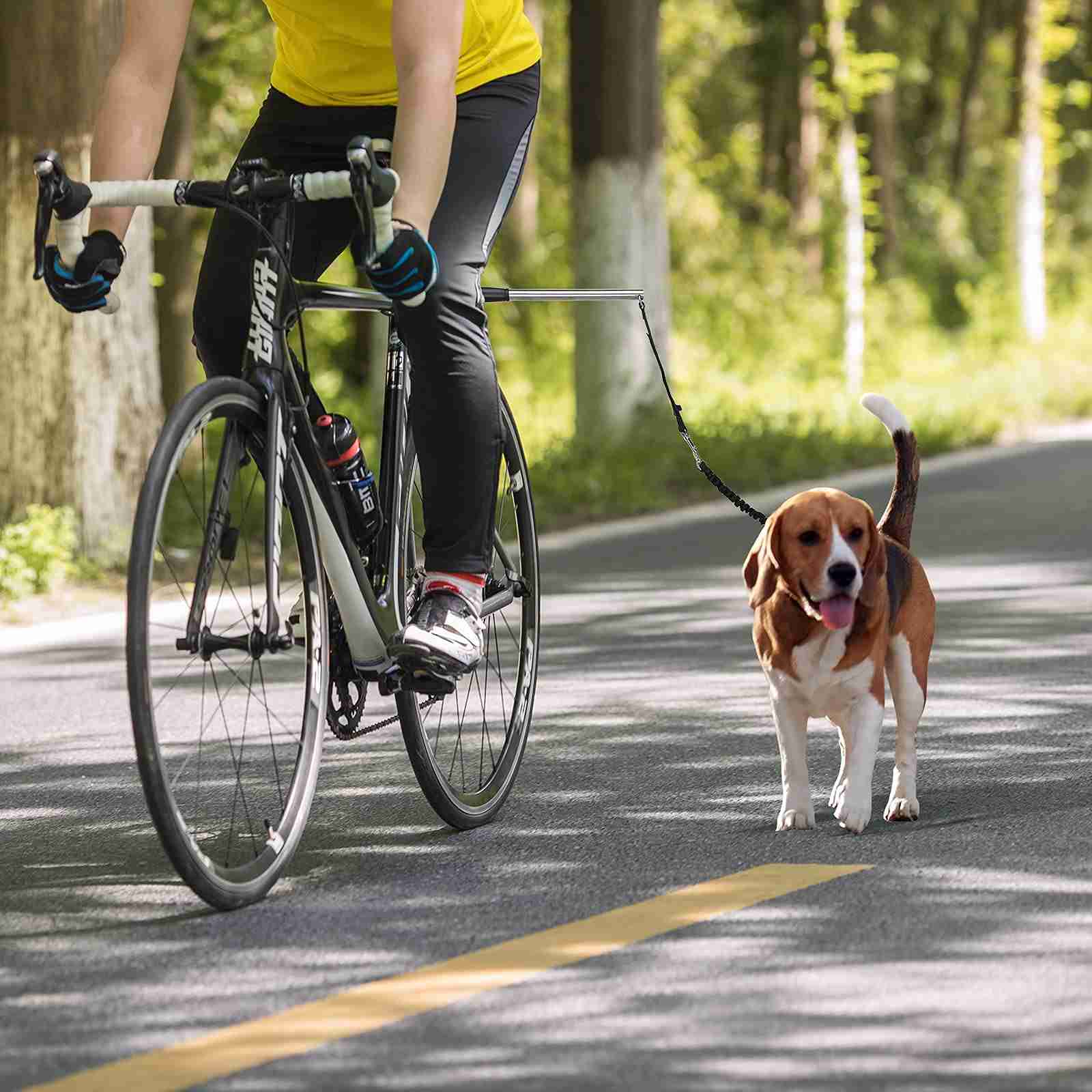 dog-bike-leash for cheap