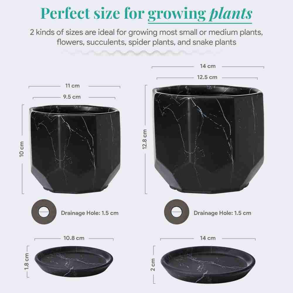 black-plant-pot with discount code