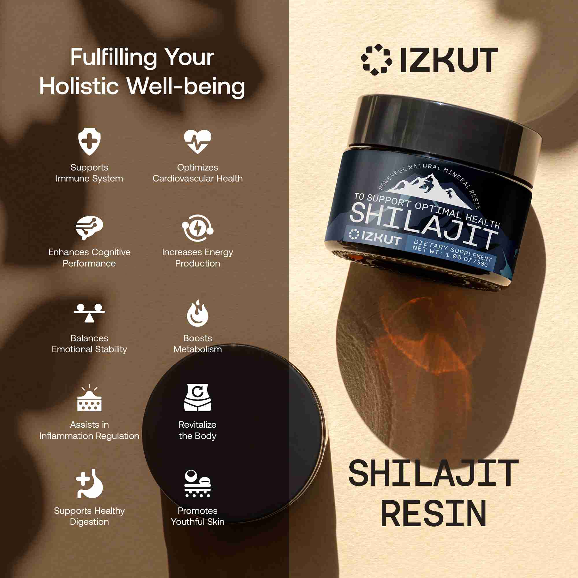 shilajit-resin for cheap