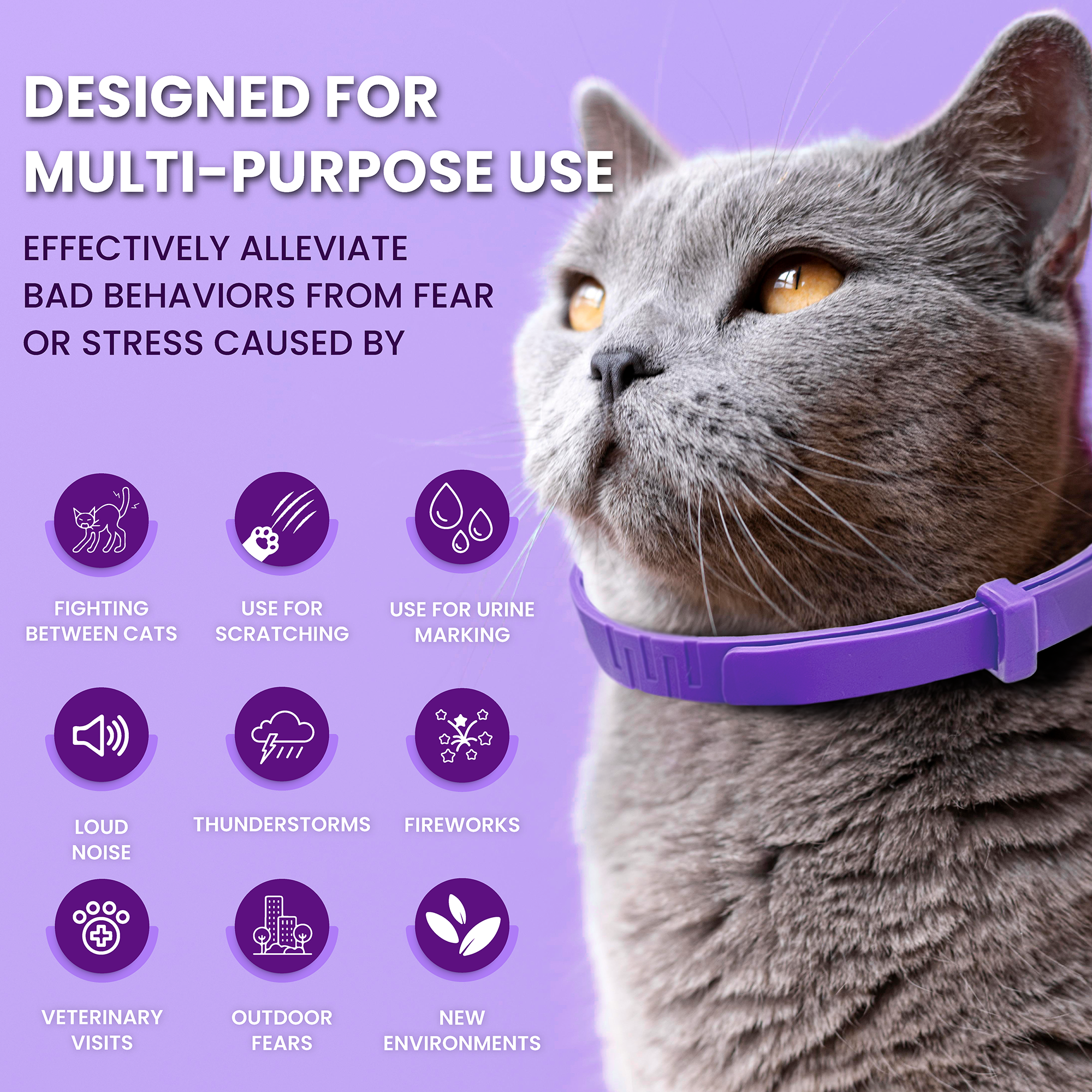 calming-collar-for-cats with discount code