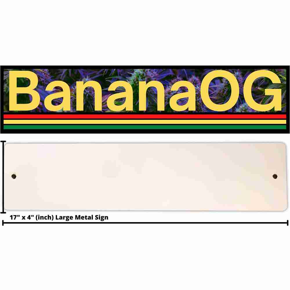 bananaog-sign with cash back rebate