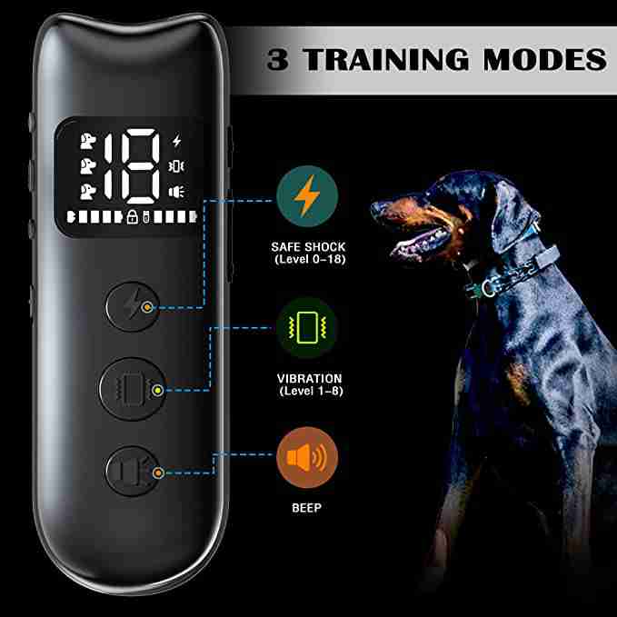 dog-shock-collar-with-remote for cheap