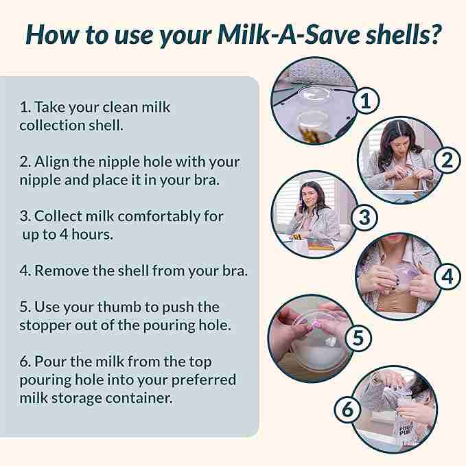 milk-collector-shells for cheap