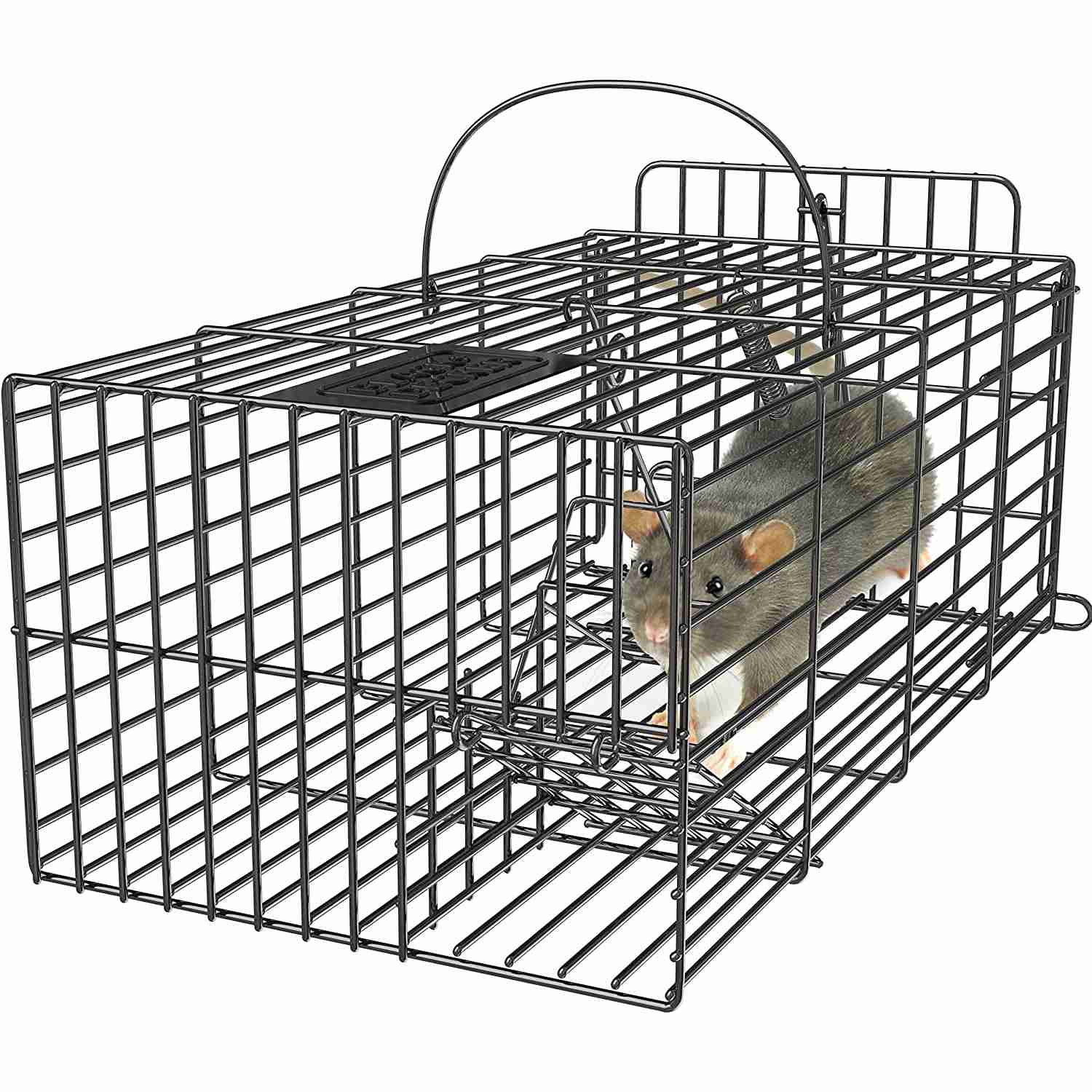 black-decker-rat-trap-rat-traps-indoor-humane-rebaid