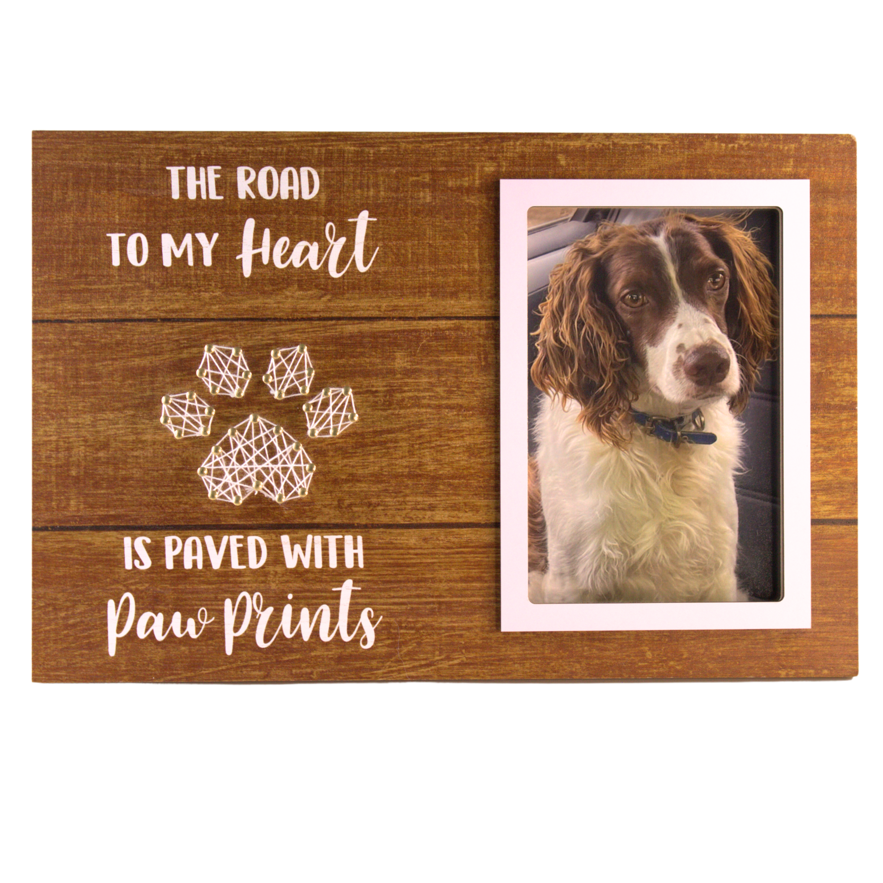 pet-picture-frame with cash back rebate