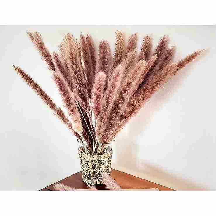 pampas-grass-decor with discount code