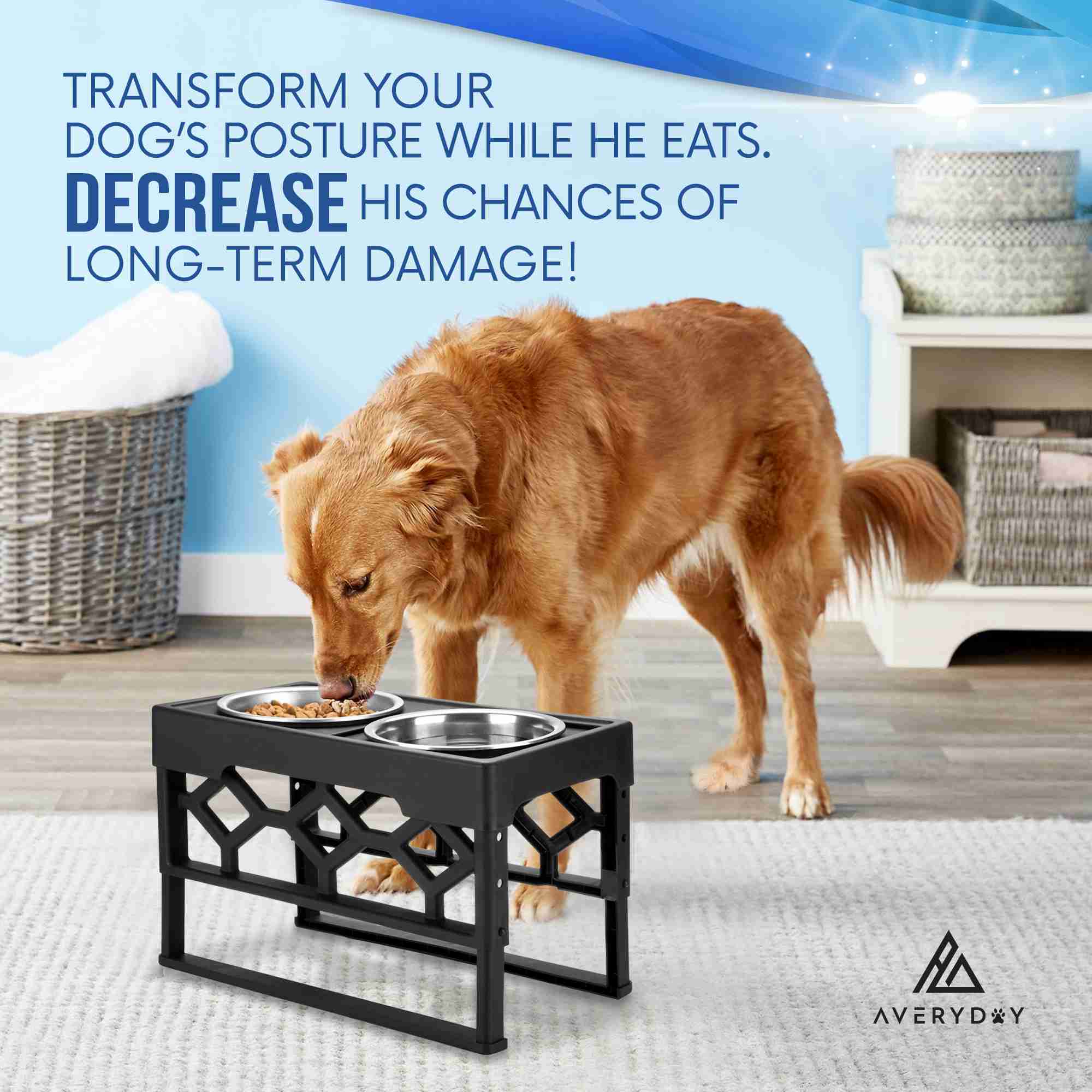 elevated-dog-bowl with discount code