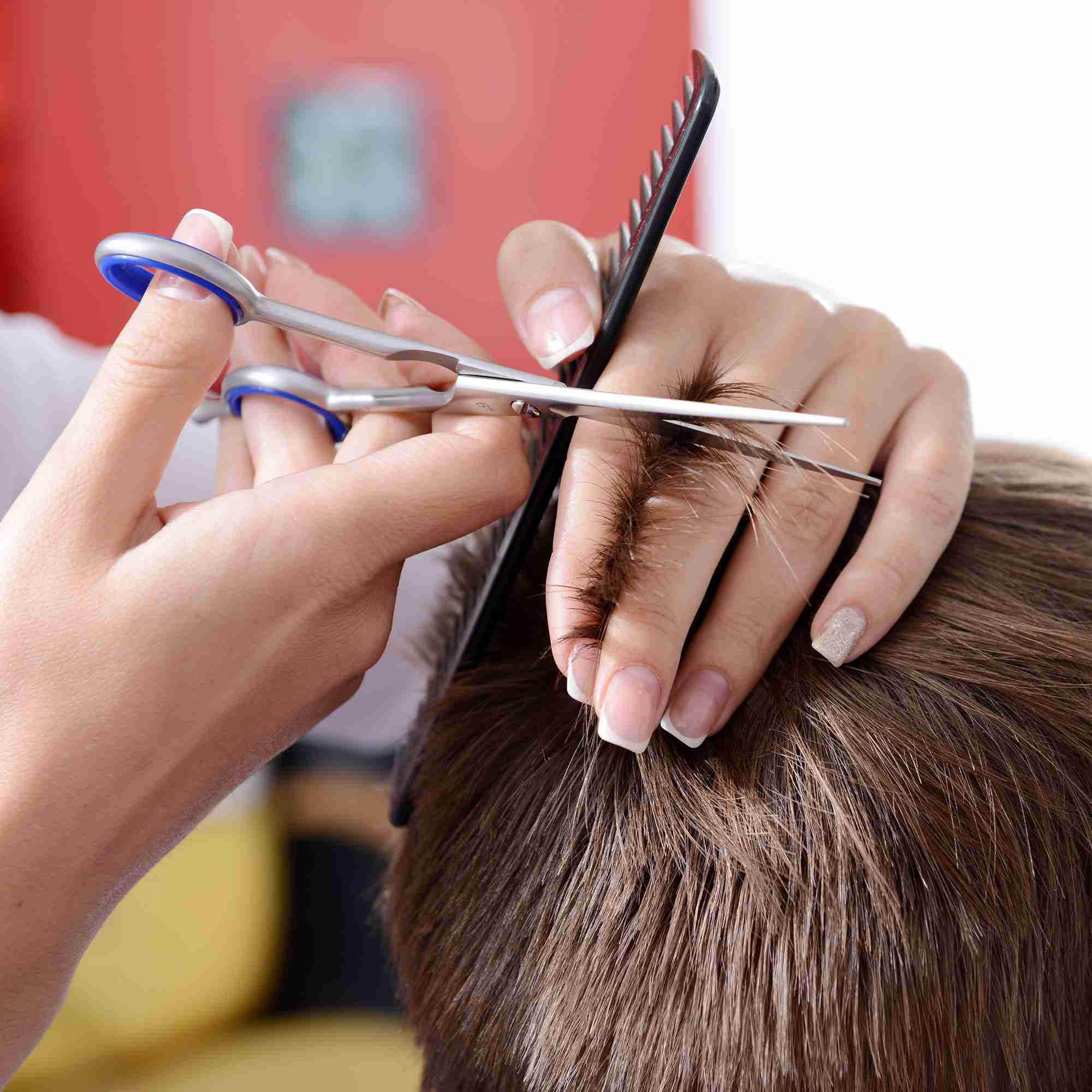 hair-cutting-shears-kit for cheap