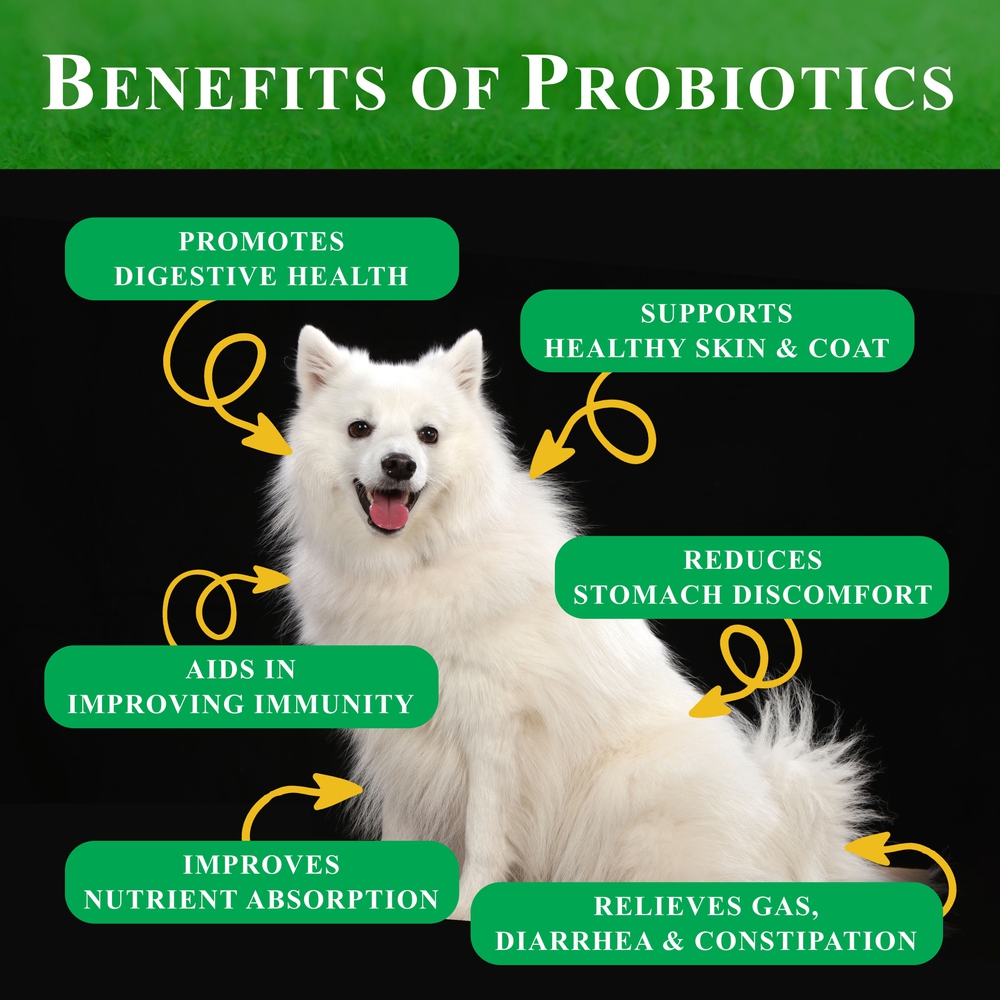 probiotics-for-dogs for cheap
