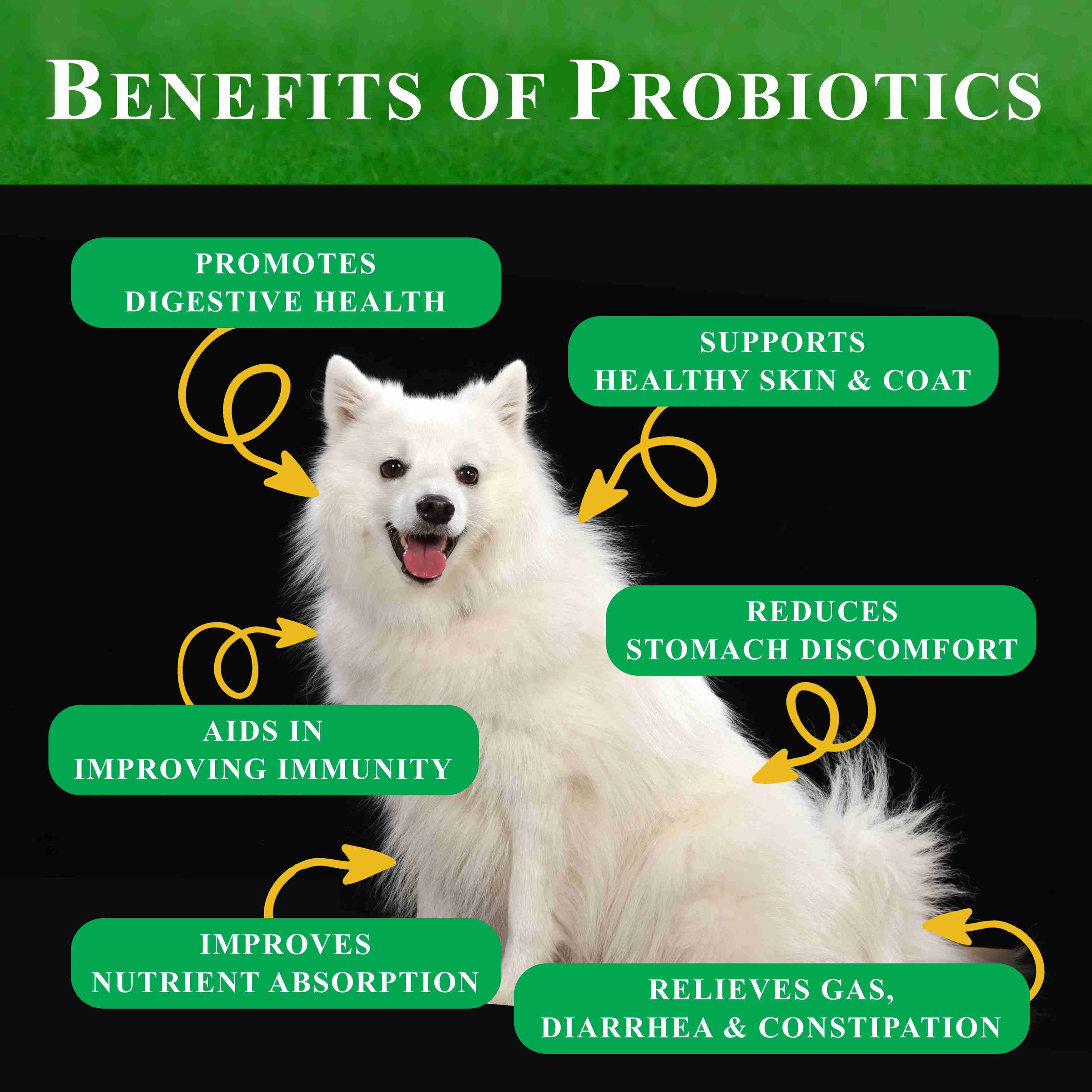 dog-probiotics for cheap