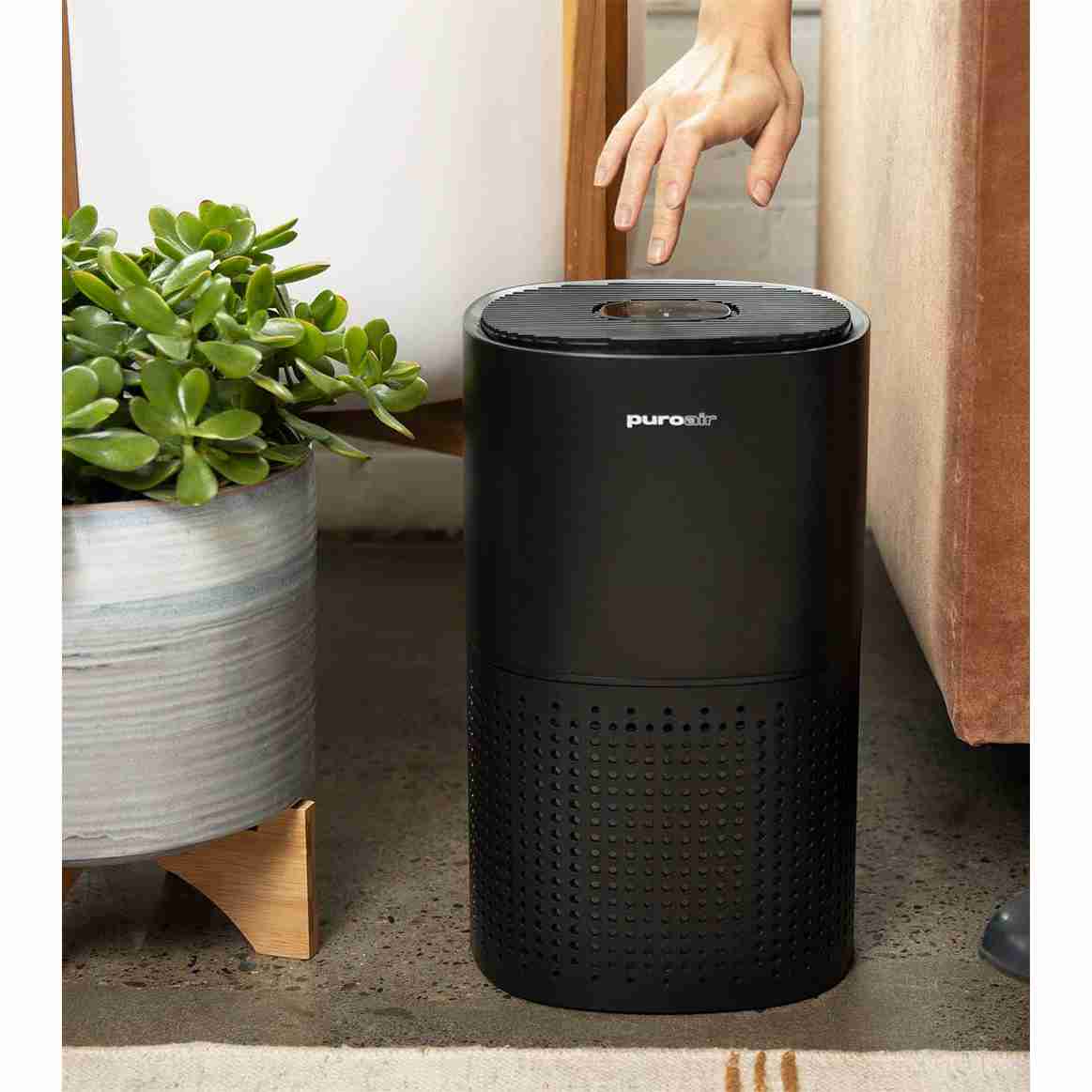 air-purifier with cash back rebate