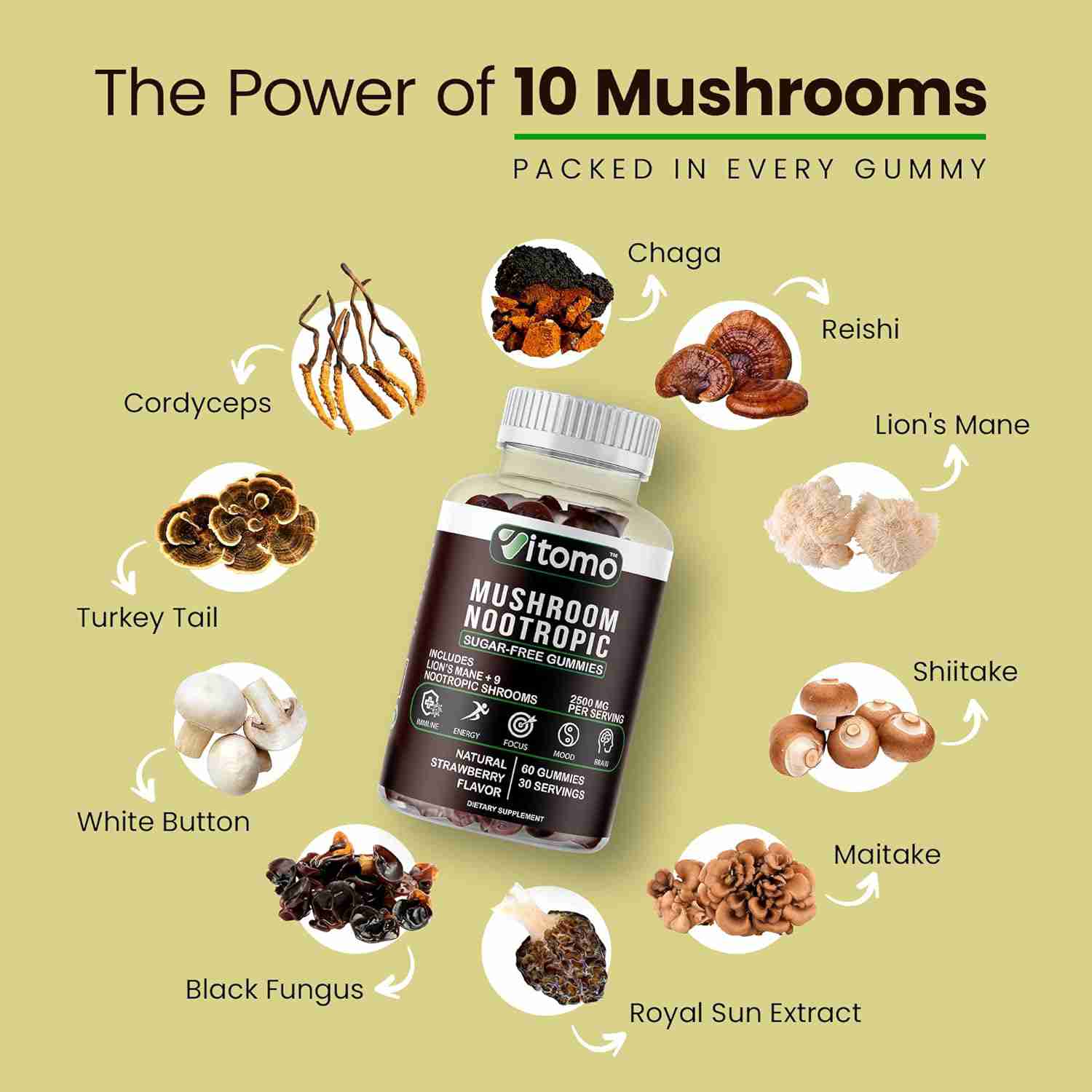 mushroom-supplements for cheap